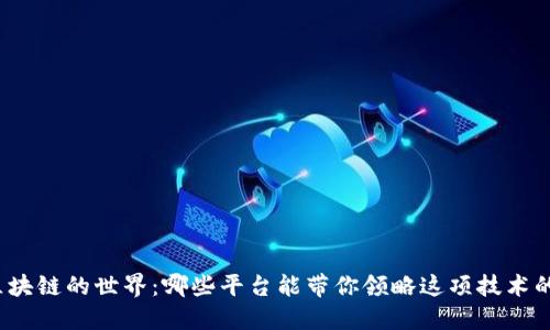 探索区块链的世界：哪些平台能带你领略这项技术的魅力？