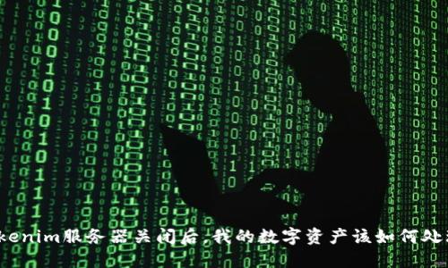 Tokenim服务器关闭后，我的数字资产该如何处理？