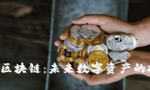 探索OLC区块链：未来数字资产的探索之旅