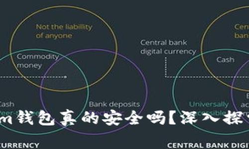 警惕！Tokenim钱包真的安全吗？深入探索背后的秘密
