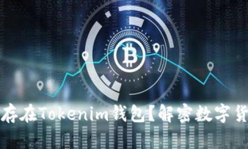 狗狗币能否保存在Tokenim钱包？解密数字货币存储的奥秘