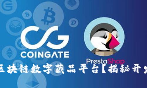 如何打造自己的区块链数字藏品平台？揭秘开发流程与关键要素