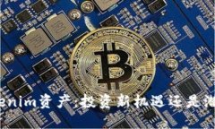 揭秘Tokenim资产：投资新机遇还是潜在风险？