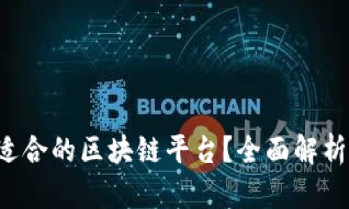 如何选择适合的区块链平台？全面解析助你决策！