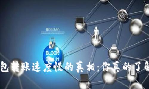 探寻Tokenim钱包转账速度慢的真相：你真的了解背后的原因吗？