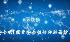 Tokenim创建的钱包安全吗？揭开安全性的神秘面纱