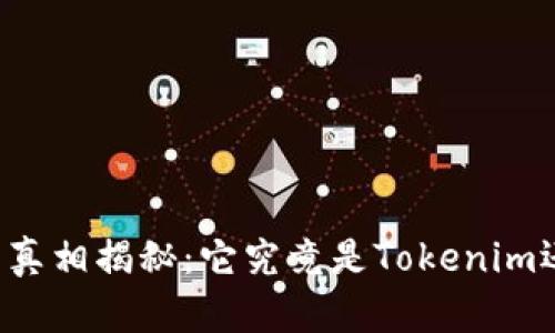 麦子钱包真相揭秘：它究竟是Tokenim还是什么？