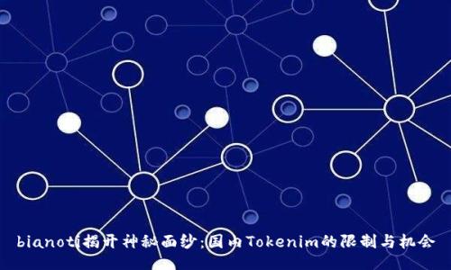 bianoti揭开神秘面纱：国内Tokenim的限制与机会