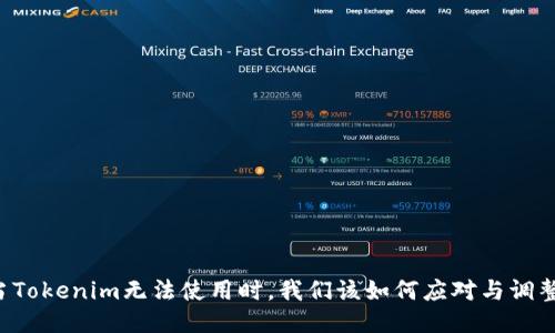 当Tokenim无法使用时，我们该如何应对与调整？