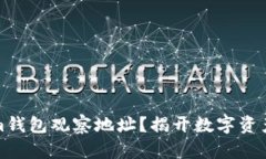 如何使用Tokenim钱包观察地址？揭开数字资产管理