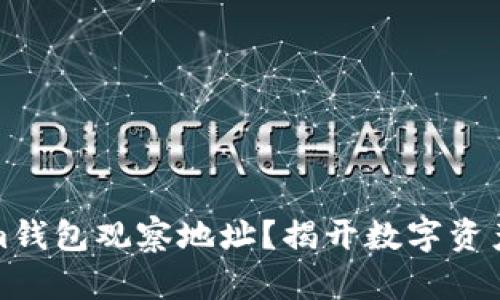 如何使用Tokenim钱包观察地址？揭开数字资产管理的神秘面纱