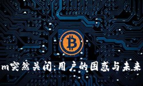 Tokenim突然关闭：用户的困惑与未来的出路