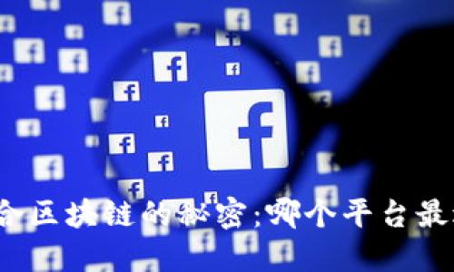 揭开混合区块链的秘密：哪个平台最适合你？