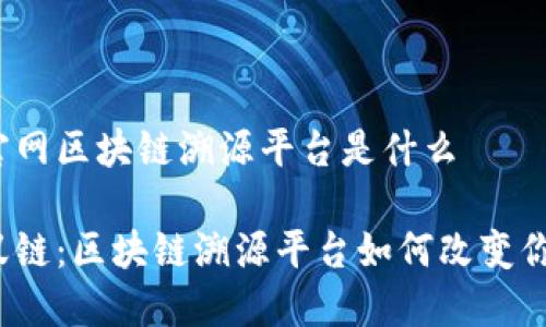 蚂蚁链官网区块链溯源平台是什么

探索蚂蚁链：区块链溯源平台如何改变你的生活？