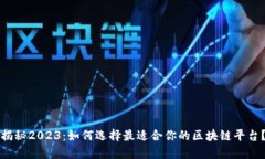 揭秘2023：如何选择最适合你的区块链平台？