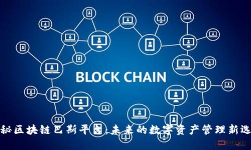 揭秘区块链巴斯平台：未来的数字资产管理新选择