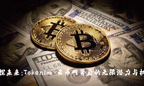 窥探未来：Tokenim 云币网背后的无限潜力与机遇