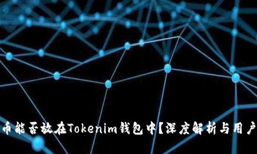 超灵币能否放在Tokenim钱包中？深度解析与用户指南