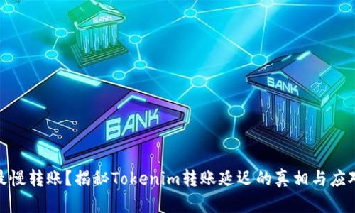 体验最慢转账？揭秘Tokenim转账延迟的真相与应对策略