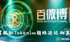 体验最慢转账？揭秘Tokenim转账延迟的真相与应对
