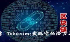 深入探索 Tokenim：发现它的潜力与可能性