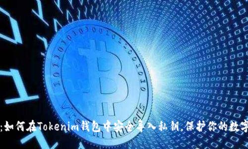 揭秘：如何在Tokenim钱包中安全导入私钥，保护你的数字资产