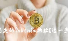 如何找回你丢失的Tokenim地址？这一步骤让你心安
