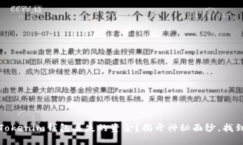 如何找回Tokenim钱包丢失的资金？揭开神秘面纱，找到你的钱包