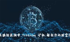 在区块链浪潮中，Tokenim 矿机：解锁你的财富潜力