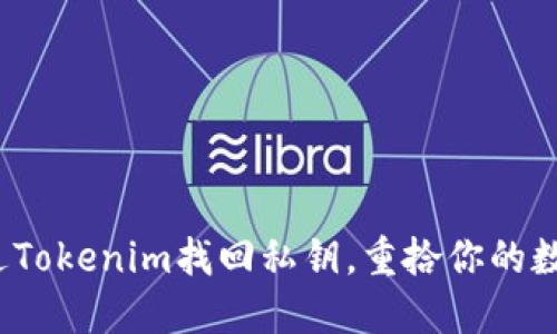 如何通过Tokenim找回私钥，重拾你的数字资产？