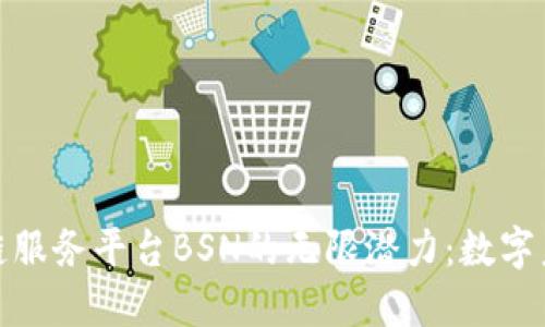 探索区块链服务平台BSN的无限潜力：数字未来的钥匙