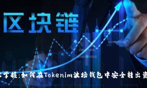 轻松掌握：如何在Tokenim波场钱包中安全转出资产？