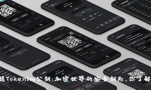 掌握Tokenim公钥：加密世界的安全钥匙，你了解吗？