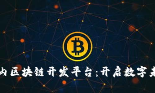 探索国内区块链开发平台：开启数字未来之门