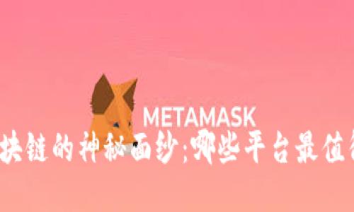 揭开区块链的神秘面纱：哪些平台最值得信赖？