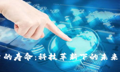 区块链平台的寿命：科技革新下的未来展望与挑战