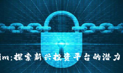 Tokenim：探索新兴投资平台的潜力与风险