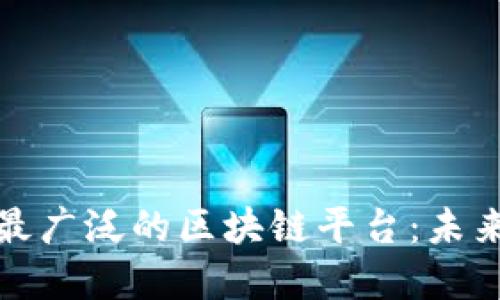 探寻国内应用最广泛的区块链平台：未来科技的引领者