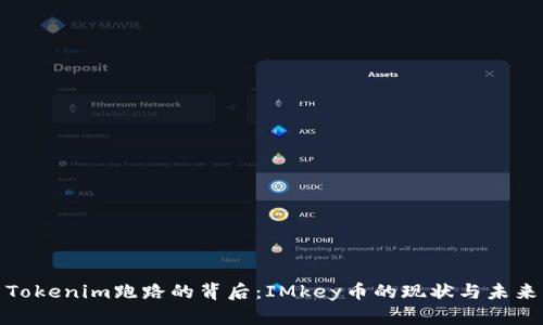Tokenim跑路的背后：IMkey币的现状与未来