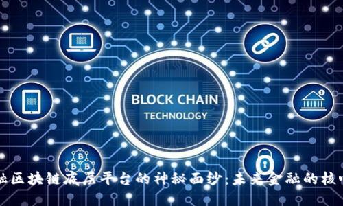 揭开金融区块链底层平台的神秘面纱：未来金融的核心驱动力