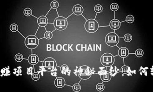 揭开区块链手赚项目平台的神秘面纱：如何轻松实现收益？