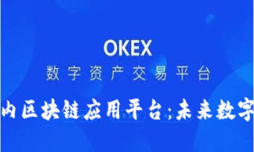 探秘中国国内区块链应用平台：未来数字经济的引擎