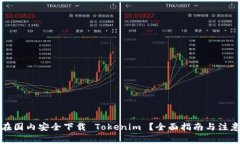 如何在国内安全下载 Tokenim ？全面指南与注意事
