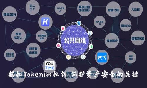 揭秘Tokenim私钥：保护资产安全的关键