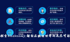 探索Blocknomy：解锁区块链世界的无尽可能