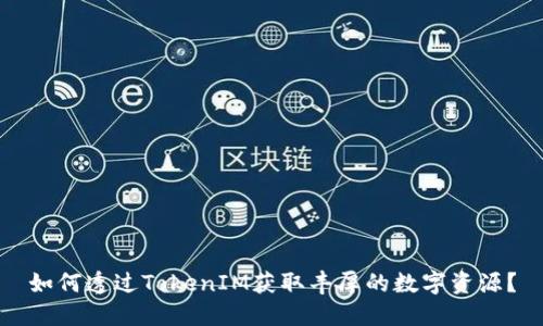 如何透过TokenIM获取丰厚的数字资源？