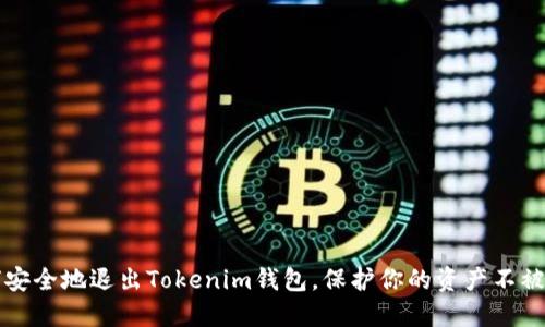 如何安全地退出Tokenim钱包，保护你的资产不被盗用