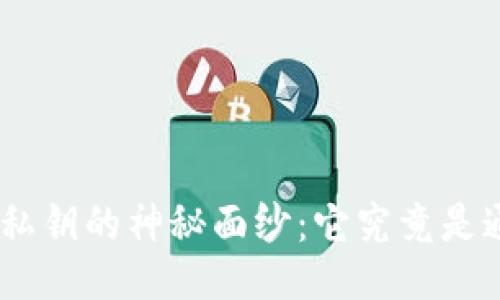 揭开Tokenim私钥的神秘面纱：它究竟是通用还是独特？