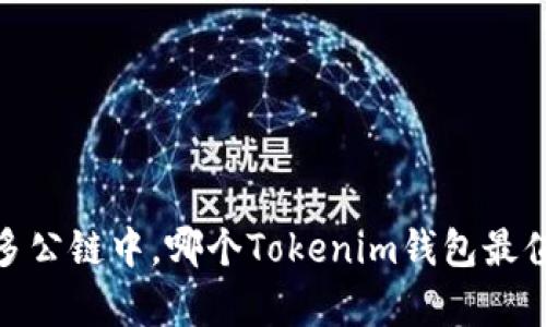 全面解析：在众多公链中，哪个Tokenim钱包最值得信赖与使用？