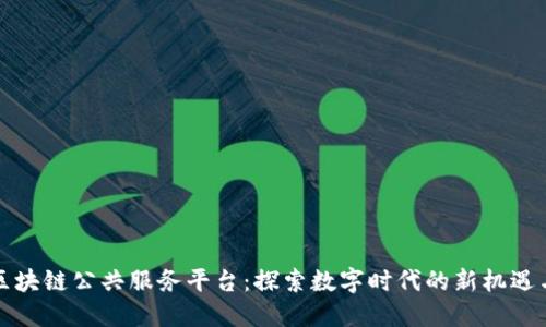 海南区块链公共服务平台：探索数字时代的新机遇与未来